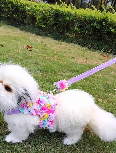  Honden Katten harnassen Lijnen Modieus Feest Ademend Wasbaar Comfortabel Kerstmis Kerstmis Buiten Casual / Dagelijks Hondenkleding for Bichon Frise pomeranian kleine huisdieren Vlinder Small