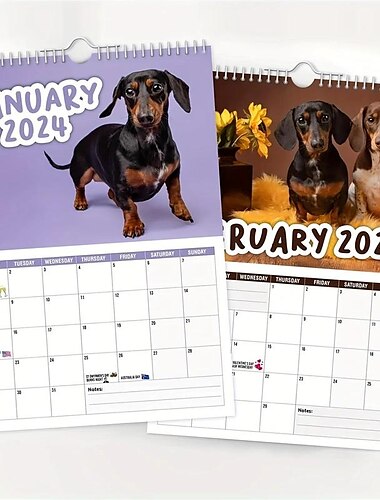  1 st fräcka taxar 2024 väggkalender, 2024 nyhet hundkalendrar, rolig hund albumomslag affischkalender, 12-månaders väggkalender, hemmakontor hängande kalender månadsplanerare