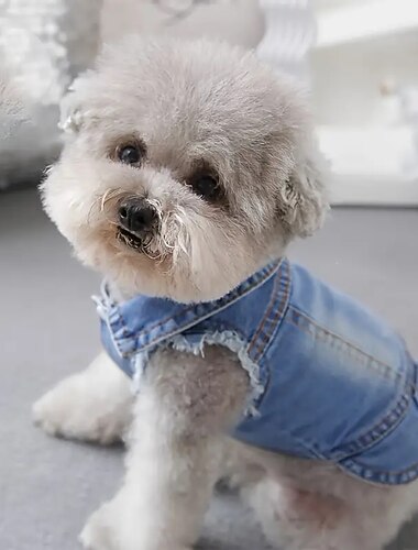  Honden Katten Gilet Modieus Casual Winter Ademend Zacht Wasbaar Comfortabel Buiten Casual / Dagelijks Hondenkleding for Bichon Frise pomeranian kleine huisdieren Vlinder Small