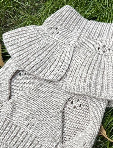  Chien Chat Pull Fête Occasionnel Hiver Respirant Doux Lavable Confortable Extérieur Décontracté Quotidien Vêtements pour Chiens for Bichon Frisé Spitz Nain Bébé Animal Papillon Petit