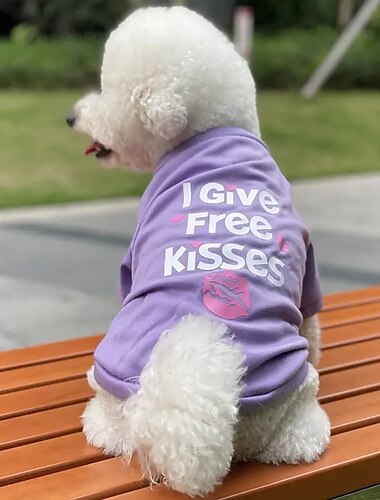  Cane Gatto Camicia / T-Shirt Moda Casual Traspirante Morbido Lavabile Confortevole All'aperto Casual Quotidiano Abbigliamento per Cani for Bichon Frisé Volpino di Pomerania Cucciolo Papillon Piccolo