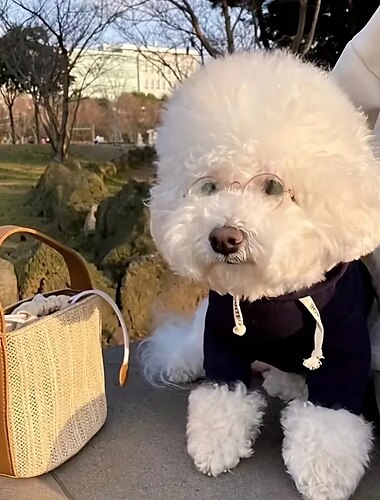  Perros Gatos Saco y Capucha Minimalista Casual / Diario Invierno Transpirable Suave Lavable Cómodo Exterior Casual Diario Ropa para perros for Bichón Frisé Pomerania Animal doméstico del beb