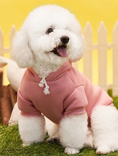  Hunder Katter Hettegensere Sport og friluft Fritid Vinter Varm Pustende Myk Vaskbar Bekvem utendørs Fritid / hverdag Hundeklær for Bichon Frisé Pommeran ungt kjæledyr Sommerfugl Small