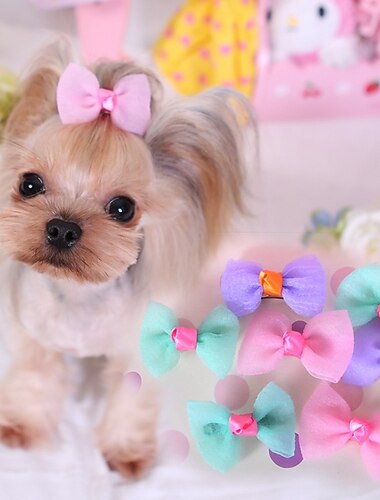  Prodotti per cani Prodotti per gatti Ornamenti stile sveglio Festa Inverno Traspirante Morbido Lavabile Comodo Esterno Casual / quotidiano Abbigliamento per cani for Bichon Frise Pomeriana cuccioli