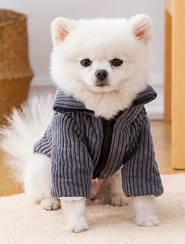  Hund Katze Mäntel Jacke Mode Party Winter Warm Atmungsaktiv Weich Waschbar Bequem Weihnachten Halloween Outdoor Alltagstauglich Hundebekleidung for Bichon Frise Zwergspitz Baby Haustier Papillon Klein