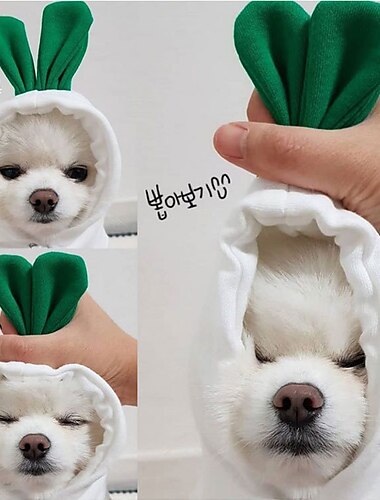  Perros Gatos Saco y Capucha Estilo lindo Casual Invierno Transpirable Suave Lavable Cómodo Exterior Casual Diario Ropa para perros for Bichón Frisé Pomerania Animal doméstico del bebé Mariposa Small