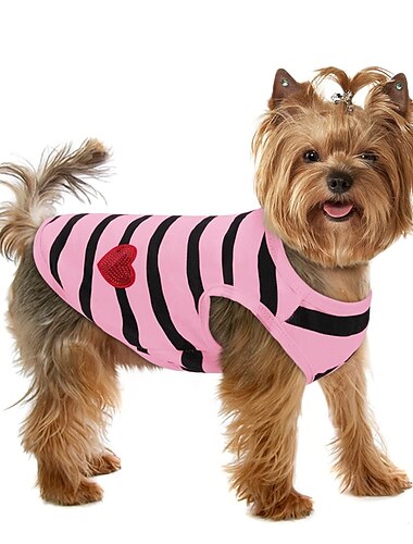  Hund Katze Hemd / T-Shirt Mode Lässig Winter Atmungsaktiv Weich Waschbar Bequem Outdoor Alltagstauglich Hundebekleidung for Bichon Frise Zwergspitz Baby Haustier Papillon Klein