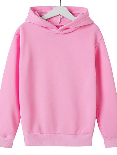  Infantil Unisexo Moletom Côr Sólida Manga Longa Primavera Outono Inverno Adorável Diário Poliéster Escola Ao ar livre Casual