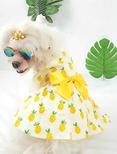  Hund Katze Kleid Niedlich Lässig Winter Atmungsaktiv Weich Waschbar Bequem Outdoor Alltagstauglich Hundebekleidung for Bichon Frise Zwergspitz Baby Haustier Papillon Klein