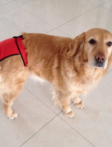  Chien Chat Pantalon physiologique Mode Décontractées Hiver Respirable Doux Lavable Confortable Extérieur Casual Quotidien Vêtements pour chiens for Bichon Frisé Loulou de Poméranie Bébé Animal