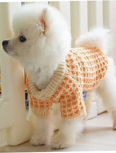  Hund Katt Tröjor Jumper söt stil Ledigt Vinter Varm Andningsfunktion Mjuk Tvättbar Bekväm Utomhus Ledigt / vardag Hundkläder for Bichon Frisé Pommeran valpen eller det lilla husdjuret Fjäril Small