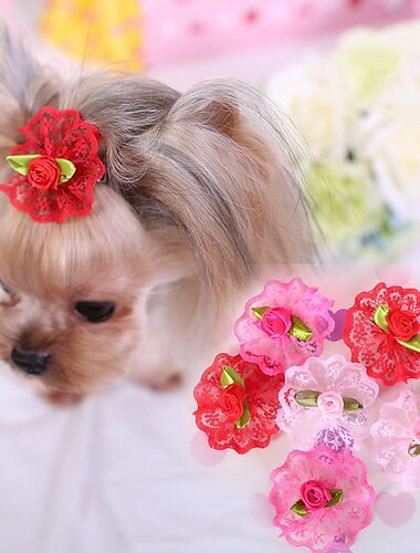  Prodotti per cani Prodotti per gatti Ornamenti stile sveglio Festa Inverno Traspirante Morbido Lavabile Comodo Esterno Casual / quotidiano Abbigliamento per cani for Bichon Frise Pomeriana cuccioli