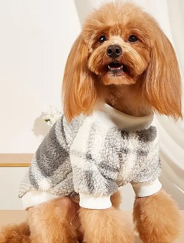  Psy Koty Bluza dresowa Moda Codzienny Zima Ciepłe Oddychający Miękka Zmywalny Wygodny Na zewnątrz Codzienne Ubranka dla psów for Bichon frise Szpic miniaturowy szczeniaków i młodych kotów Motyl Small
