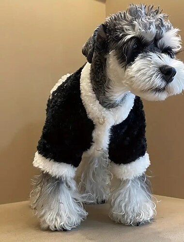  Hund Katze Mäntel Jacke Sport & Outdoor Lässig Winter Warm Atmungsaktiv Weich Waschbar Bequem Outdoor Alltagstauglich Hundebekleidung for Bichon Frise Zwergspitz Baby Haustier Papillon Klein