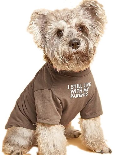  Hunde Katte T-shirt Mode Afslappet Vinter Åndbart Blød Vaskbar Bekvem udendørs Afslappet / Hverdag Hundetøj for Bichon Frisé Pommeraner små kæledyr Sommerfugl Small