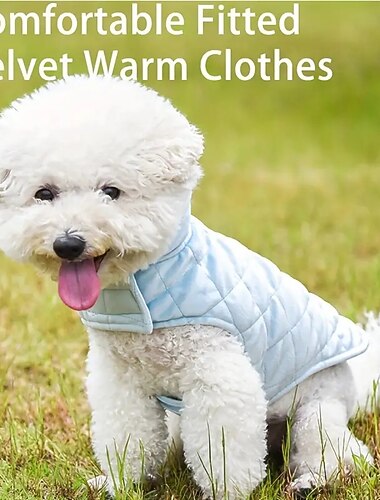  Perros Gatos Chaleco Elegante Casual Invierno Templado Transpirable Suave Lavable Cómodo Exterior Casual Diario Ropa para perros for Bichón Frisé Pomerania Animal doméstico del bebé Mariposa Small
