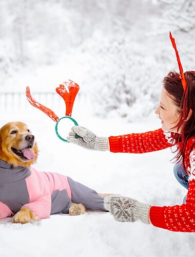  Hund Katt Kostym för kirurgisk återhämtning Mode Ledigt Vinter Varm Andningsfunktion Mjuk Tvättbar Bekväm Jul Halloween Utomhus Ledigt / vardag Hundkläder for Bichon Frisé Pommeran valpen eller det