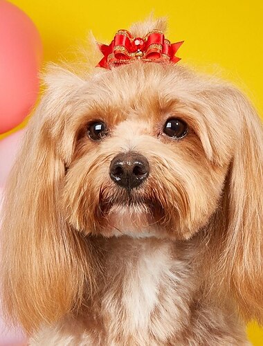  犬用 猫用 飾り かわいいスタイル カジュアル 冬 高通気性 ソフト 洗濯可 快適 アウトドア カジュアル／普段着 犬服 for ビジョンフリーゼ ポメラニアン 赤ちゃんサイズ パピヨン Small