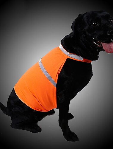  Hund Katze Regenmantel Regenjacke Mode Lässig Winter Reflektierend Verstellbar Wasserdicht Atmungsaktiv Weich Weihnachten Outdoor Alltagstauglich Hundebekleidung for Bichon Frise Zwergspitz Baby