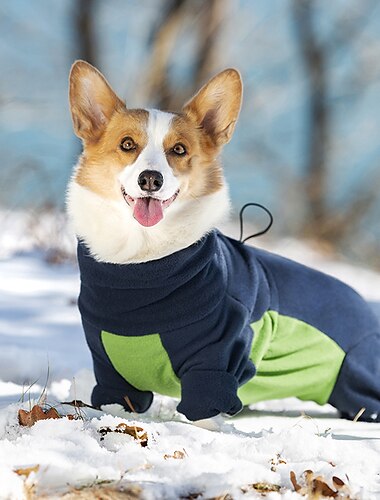  Perros Gatos Abrigos Chaqueta Moda Casual Invierno Templado Transpirable Suave Lavable Cómodo Navidad Víspera de Todos los Santos Exterior Casual Diario Ropa para perros for Perro perdiguero de oro
