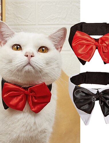  Prodotti per cani Prodotti per gatti Cravatta / Papillon Di tendenza Festa Inverno Traspirante Morbido Lavabile Comodo Natale Esterno Casual / quotidiano Abbigliamento per cani for Bichon Frise