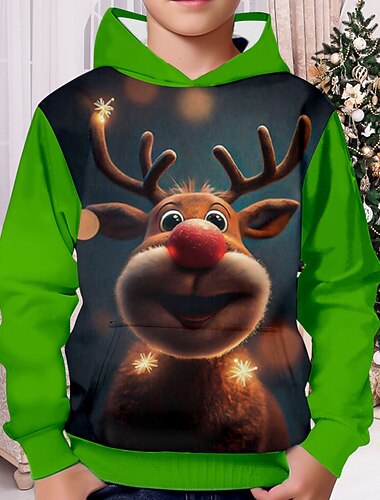  Băieți 3D Fiecare Hanorac de Crăciun Hanorac cu Glugă Pullover Manșon Lung Tipărire 3D Toamnă Iarnă Modă Șic Stradă Misto Copii 3-12 ani Capișon În aer liber Casual Zilnic Fit regulat