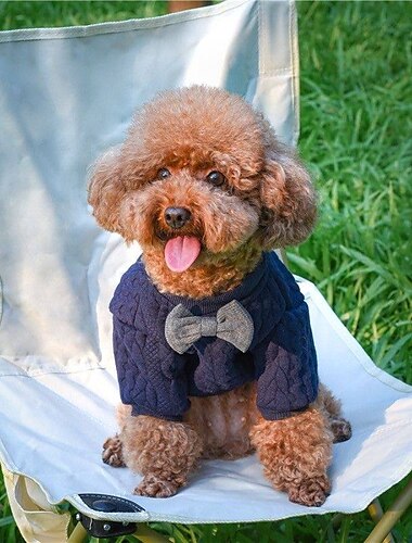  Hund Katze Pullover Jumper Mode Niedlich Winter Warm Weich Waschbar Bequem Outdoor Sport Hundebekleidung for Bichon Frise Pudel Zwergspitz Baby Haustier Papillon