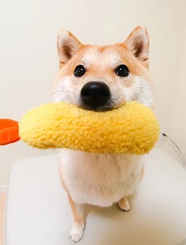  噛む用おもちゃ ぬいぐるみ インタラクティブトイ きしむおもちゃ ととも​​に 耐用的 解放圧力 ペットトレーニング 歯が生えるロープのおもちゃ 歯が生えるおもちゃ のために 犬用 猫用 屋内 屋外 ペットプレイ
