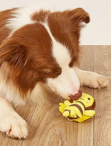  Kau-Spielzeug Plüsch-Spielzeug Interaktives Spielzeug mit Langlebig Haustierübung Beißspielzeug für Hunde Katzen Innen Draussen Haustier spielen