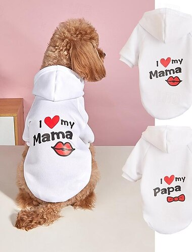  Cachorros Gatos Camisola com Capuz Estilo bonito Casual Inverno Respirável Macio Lavável Confortável Ao ar livre Casual / Diário Roupas para cães for Bichon Frise Pomerânia Animais de Pequeno Porte