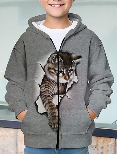  Jungen 3D Katze Kapuzenshirt Mantel Oberbekleidung Langarm Herbst Winter Aktiv Strassenmode Cool Polyester kinderkleidung 3-12 Jahre Reissverschluss Strasse Täglich Regular Fit