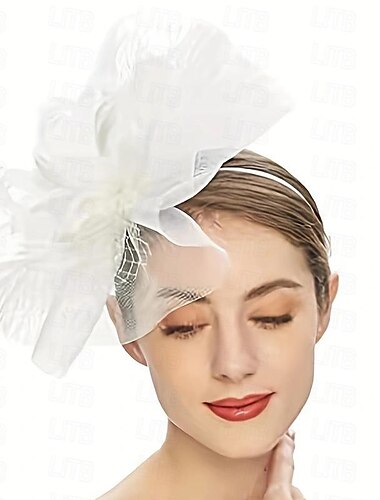  Fascinatoren Kopfbedeckung Feder Netz Hochzeit Abendgesellschaft Kentucky Derby Pferderennen Damentag Elegant Elegant und luxuriös Hochzeit Mit Feder Blumig Kopfschmuck Kopfbedeckung