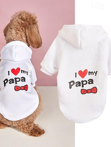  Hund Katze Kapuzensweatshirt Niedlich Lässig Winter Atmungsaktiv Weich Waschbar Bequem Outdoor Alltagstauglich Hundebekleidung for Bichon Frise Zwergspitz Baby Haustier Papillon Klein