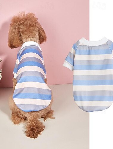  Hund Katze Hemd / T-Shirt Niedlich Lässig Warm Atmungsaktiv Weich Waschbar Bequem Outdoor Alltagstauglich Hundebekleidung for Bichon Frise Zwergspitz Baby Haustier Papillon Klein