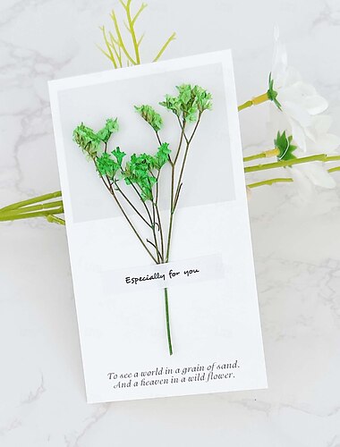  Trockenblumenkarte, Schleierkraut, Grußkarte, Feiertagskarte, Geburtstagskarte, Party-Einladungskarte, Vatertag, Muttertag, bestes Geschenk
