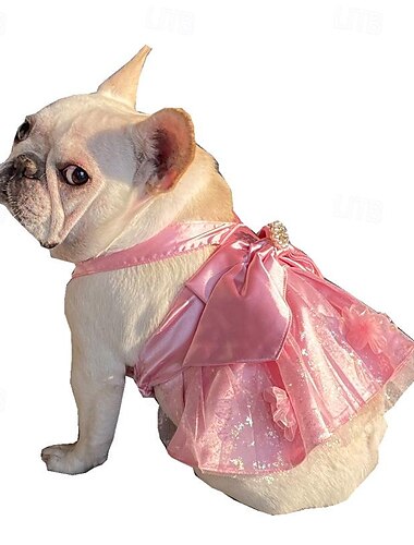  Hunde Katzen Smoking Modisch Party Winter Atmungsaktiv Weich Waschbar Komfortabel Outdoor Casual Hundebekleidung for Bichon Frise Spitz kleines Haustier Schmetterling Small