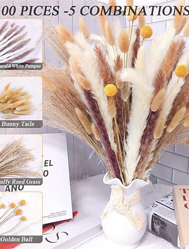  kleiner getrockneter Schilfblumenstrauß kleiner Staubpinsel kleiner Schilfgras getrocknete Schilfblume Kaninchenschwanzgras Yunnan
