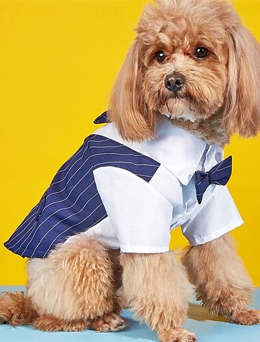  Psy Koty W kant Moda Impreza Zima Oddychający Miękka Zmywalny Wygodny Na zewnątrz Codzienne Ubranka dla psów for Bichon frise Szpic miniaturowy szczeniaków i młodych kotów Motyl Small