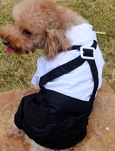  Hunde Katzen Anzug Modisch Party Winter Atmungsaktiv Weich Waschbar Komfortabel Outdoor Casual Hundebekleidung for Bichon Frise Spitz kleines Haustier Schmetterling Small