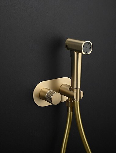  Pulvérisateur de bidet dissimulé, 2 fonctions, débit d'eau, bouton de valve en laiton, mélangeur froid/chaud réglable, tuyau en pvc brossé or gris blanc