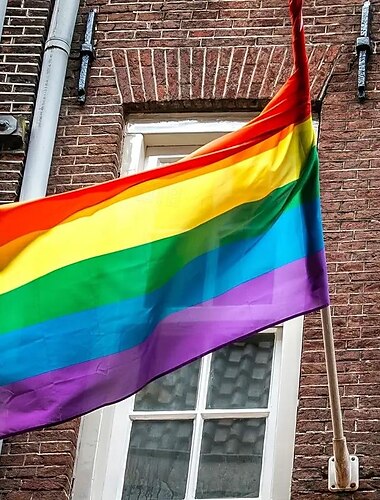  Juin Mois de la Fierté LGBTQ LGBT Joyeux Mois de la Fierté Drapeau Arc-en-ciel Décoration Extérieure Intérieure avec Œillets Décorations de Maison Cour Jardin Banderole de Fête Signe