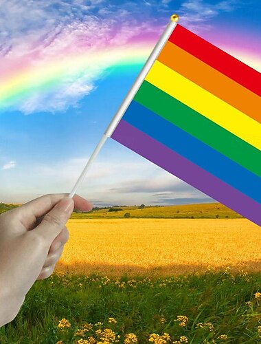  LGBTLGBTQ Arc-en-ciel Drapeau Enfant Adulte Homme Femme Garçon Gays Lesbienne Défilé de la fierté Mois de la fierté Costume de carnaval facile