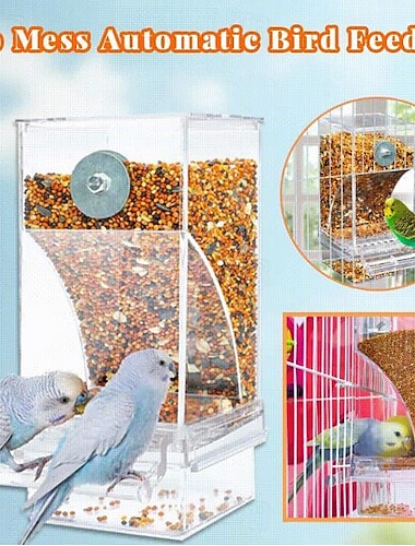  Mangeoire automatique pour oiseaux sans gâchis, mangeoire automatique transparente sans déversement-boîte d'alimentation anti-éclaboussures et sans gâchis