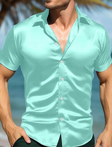  Voor heren Overhemd Satijnen overhemd Zomer overhemd Strand Kleding Overhemd met knopen Normaal shirt Wit blauw Groen Korte mouw Effen Kraag Dagelijks Vakantie Kleding Modieus Casual Comfortabel