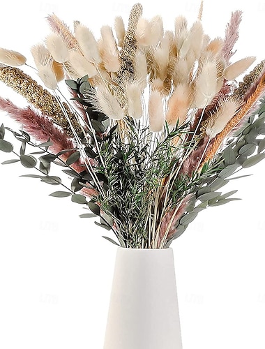  Juego de decoración de hierba pampas: flores secas naturales para arreglos diy, hogar no tóxico  & decoración de boda, uso sin energía