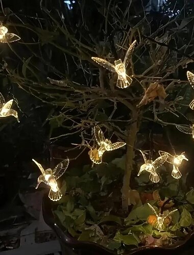  Guirlande lumineuse solaire en forme d'oiseau, 5m, 20led, imperméable, éclairage d'extérieur, luminaire décoratif d'extérieur, idéal pour un jardin, un mariage, une fête de vacances ou un balcon