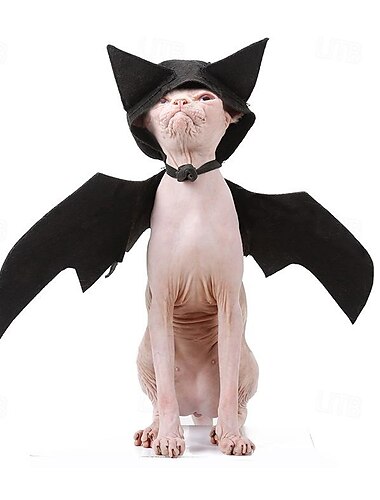  Hunde Katzen Halloweenkostüm Hunde-Kostüm Einer Kuschelig Lustig Weich Halloween Karneval Party Kleidungs-Outfits für Hundewelpen