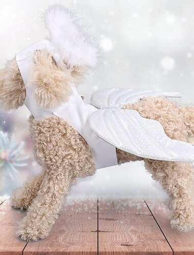  Hunde Katzen Halloweenkostüm Hunde-Kostüm Engel Kuschelig Lustig Weich Halloween Karneval Party Kleidungs-Outfits für Hundewelpen