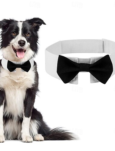  Hunde Kostüme Halsbänder Krawatte / Fliege Ringträger Elegant Halloween Hochzeit Party Kleidungs-Outfits für Hundewelpen