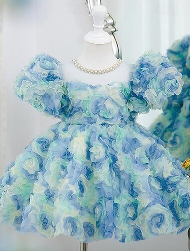  Baby Mädchen Party Kleid Pailletten Ärmellos Leistung Gitter Kuschelig Prinzessin Polyester Übers Knie Etuikleid Tüll-Kleid Sommer Frühling Herbst 3-7 Jahre Rosa Minzgrün Purpur